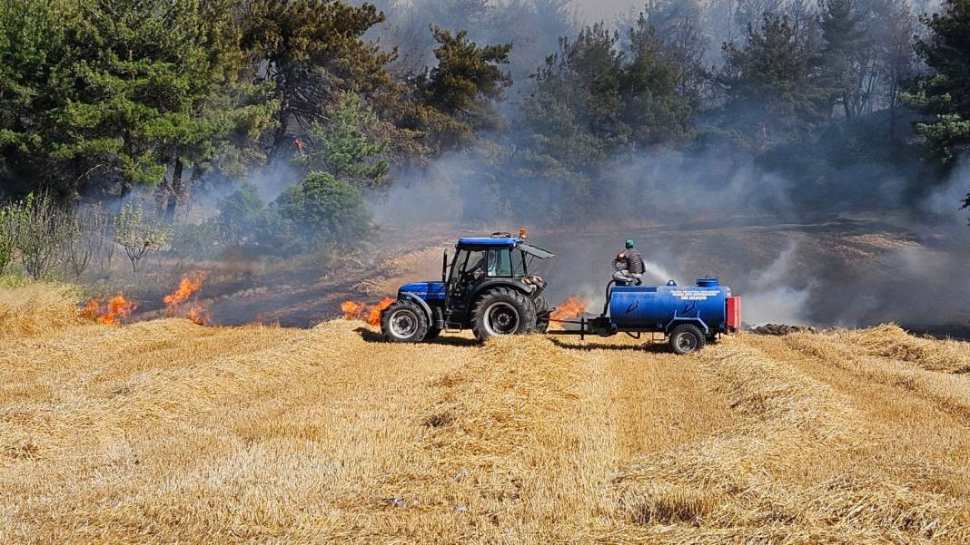 Çanakkale'deki Tarihi Alan'ın güney hattı ziyarete açıldı! Orman yangınında kapatılmıştı - Resim: 22